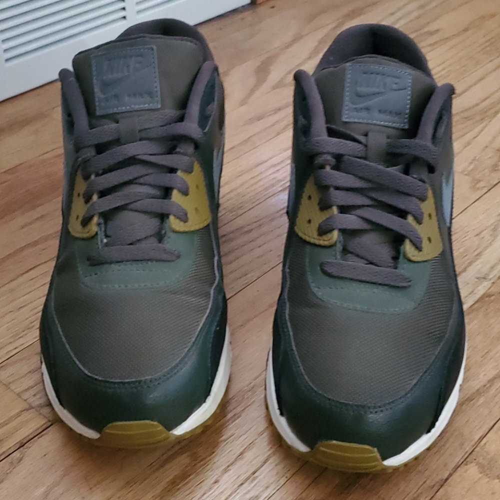 Shoes (Nike Air Max 90)